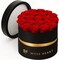 20 Preserved Roses, Forever Flowers for Delivery in Designer Round-Shaped Box